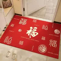 入户门地垫除尘防滑大门口地毯乔迁新年门垫玄关室内家用进门脚垫