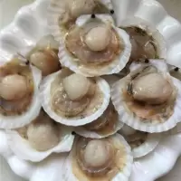 扇贝 kg