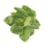 鑫牧盟木耳菜/斤