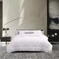 水星家纺威尔抗菌澳洲羊毛被122270