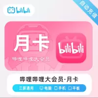 哔哩 哔 哩 大会员 月卡