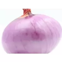鑫牧盟去皮洋葱/斤