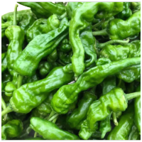 鑫牧盟螺丝椒/斤