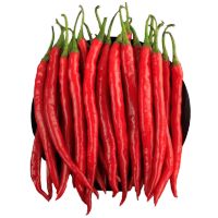 鑫牧盟红线椒/斤