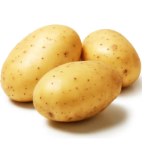 鑫牧盟大土豆/斤