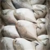 鑫牧盟鲳鱼/斤
