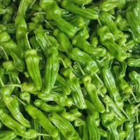 鑫牧盟大青椒/斤