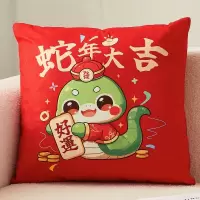 双面蛇年喜庆客厅沙发床头靠垫红色汽车枕套办公室护腰靠枕45*45cm