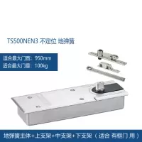 地弹簧TS500NEN3有框门配件地弹簧含配件 不定位款(承重100KG)