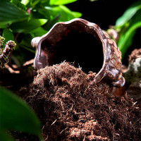 品氏基质丹麦进口泥炭土营养土种植土通用型花卉绿植种菜10-30原装330L