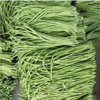 苏宁宜品长豆角500g新鲜蔬菜嫩豇豆现摘青豆角可腌制酸豆角
