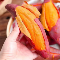 苏宁宜品黄心山芋500g沙地甜糯蜜薯红薯新鲜番薯