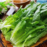 苏宁宜品油麦菜500g新鲜油麦菜时令火锅油麦菜新鲜脆蔬菜