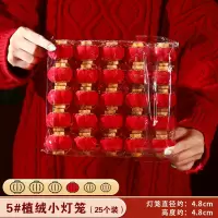 新年灯笼2025蛇年盆景挂饰植绒小灯笼4.8*4.8cm春节过年装饰5号25个/包