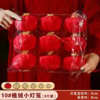 新年灯笼2025蛇年盆景挂饰植绒小灯笼9*8cm春节过年装饰10号9个/包