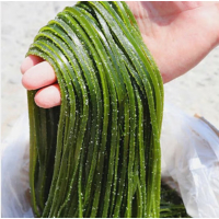 苏宁宜品海带丝500g火锅食材凉拌菜