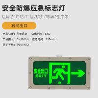 安全出口指示牌 EXIT向右 220V 单位:个