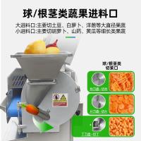 圣托 STSA-QS860 双头切菜机 [QS860]切片切丝切丁│304材质 单位:台