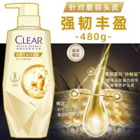 清扬肌活洗发水控油去屑洗发露蓬松发根水润头皮 强韧丰盛 480g/瓶