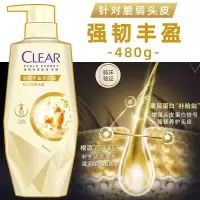 清扬肌活洗发水控油去屑洗发露蓬松发根水润头皮 强韧丰盛 480g/瓶