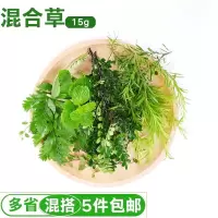 企采严选 混合花草薄荷头羊齿叶清香木黄金柳千叶吊篮新鲜蛋糕装饰点缀叶子 15g
