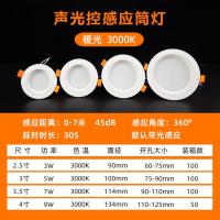 人体感应筒灯酒店走廊天花吊顶桶孔射灯声控红外雷达感应led筒灯 - 声光控筒灯暖光;5W