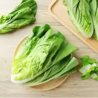 苏宁宜品杭白菜500g农家蔬菜小白菜叶菜青菜