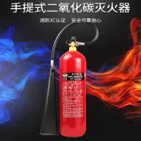 淮海 灭火器 MT/5 手提式 5公斤