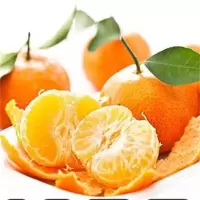 砂糖橘(新鲜)