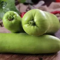 白萝卜( 新鲜)