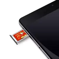 忆捷(Eaget) 监控摄像手机内存卡SD卡 TF红牛卡-64G 个