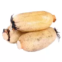 莲藕( 新鲜)