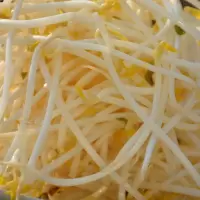 绿豆芽(新鲜)