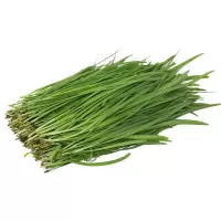 韭菜( 新鲜)