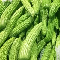 苦瓜( 新鲜)