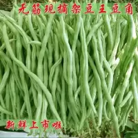 豆角( 新鲜)