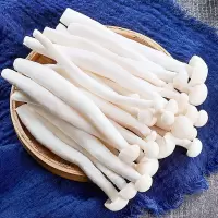 金针菇( 新鲜)