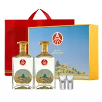 江山礼五粮液生态出品 国画礼盒 送礼佳品 52%vol 500mL 2瓶 礼盒装