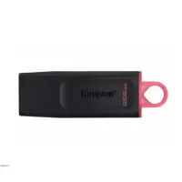 金士顿(Kingston)256GB USB3.2Gen1U 盘 DTX大容量U盘