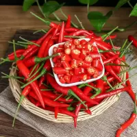 小米椒( 新鲜)