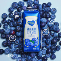 蒙牛纯甄蓝莓果粒风味酸奶 200g×10 北美蓝莓 (包装随机)