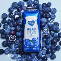 蒙牛纯甄蓝莓果粒风味酸奶 200g×10 北美蓝莓 (包装随机)