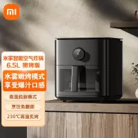 小米米家智能空气炸锅 6.5L 嫩烤版 3种烘烤模式 8分钟鸡翅快烤 可视化烹饪 24H长效预约