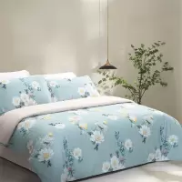 水星家纺 全棉抗菌四件套—春野花漫200cm×230cm