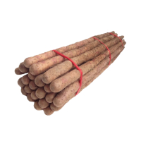 苏宁宜品铁棍山药500g沙土铁杆淮山药 新鲜铁棍山药