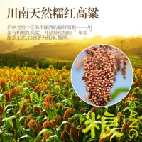 浓香型白酒 500mL窖龄60年 整箱6瓶 百年泸州老窖 38度