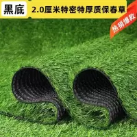 仿真草坪地毯假草皮铺垫塑料绿色地垫 2.0厘米质保特密春草每平方单价