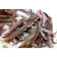 鱿鱼须一批(27.5元/kg*28.7kg)