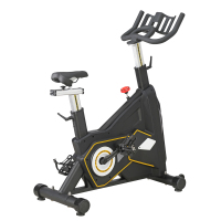 赛玛 健身车 动感单车 2001C/台