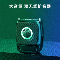 TP-LINK小蜜蜂扩音器双无线麦克风